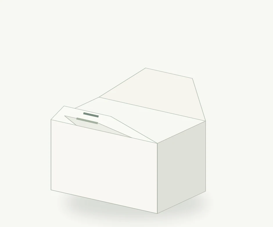 Illustrative visual of Cake Carry Box
