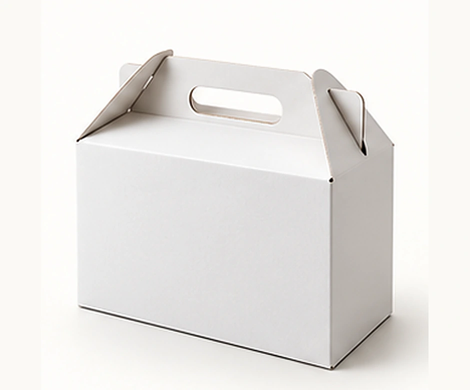 Illustrative visual of Carry Handle Mailer